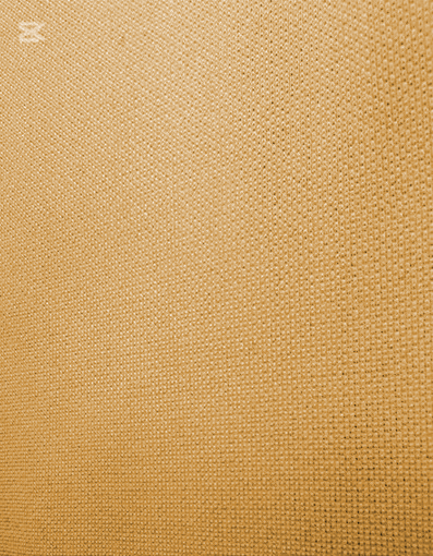 Shine Speedo Cloth